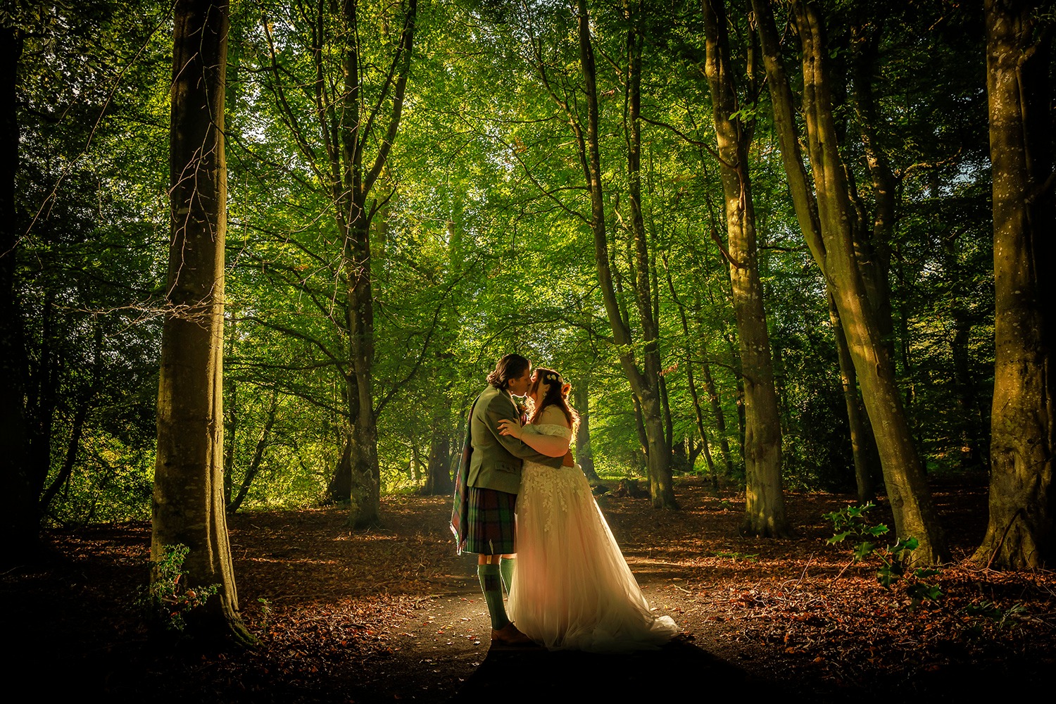 Mike Cook Photography